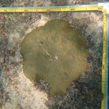 IMG_2443 IMG_2443