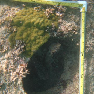 IMG_2444 IMG_2444