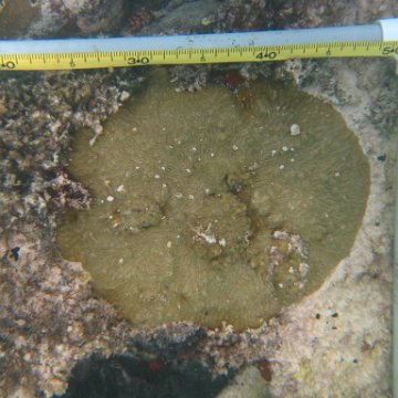 IMG_2446 IMG_2446