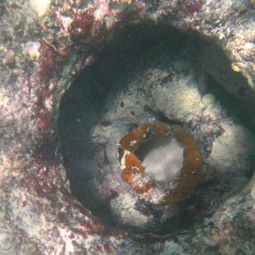 IMG_2449 IMG_2449