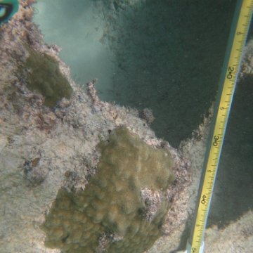 IMG_2453 IMG_2453