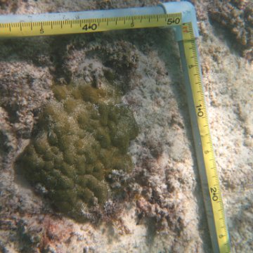 IMG_2456 IMG_2456