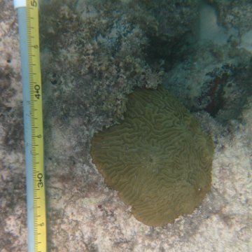 IMG_2457 IMG_2457