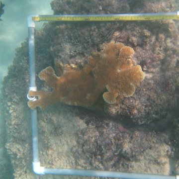 IMG_2461 IMG_2461