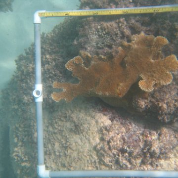 IMG_2463 IMG_2463