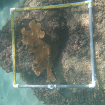 IMG_2465 IMG_2465