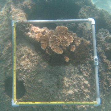 IMG_2467 IMG_2467
