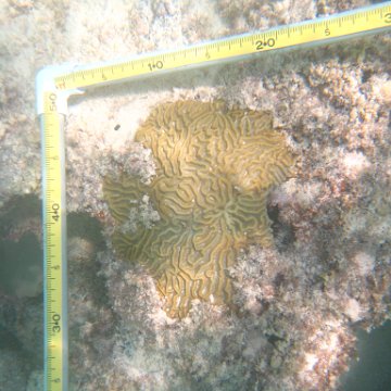 IMG_2468 IMG_2468