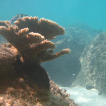 IMG_2469 IMG_2469