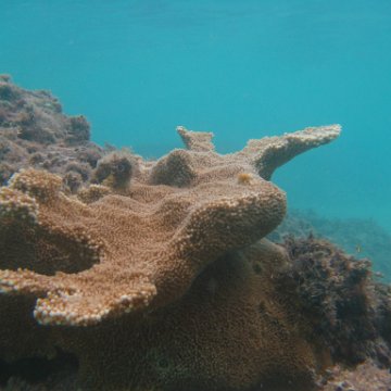 IMG_2471 IMG_2471
