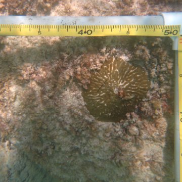 IMG_2477 IMG_2477