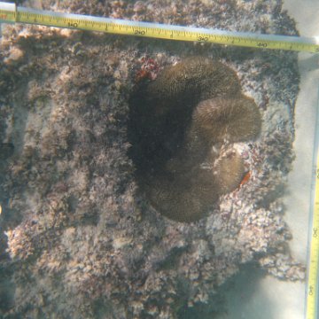 IMG_2478 IMG_2478