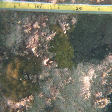 IMG_2481 IMG_2481