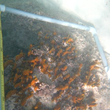IMG_2484 IMG_2484