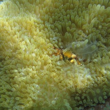 IMG_2490 IMG_2490