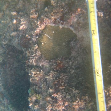 IMG_2500 IMG_2500