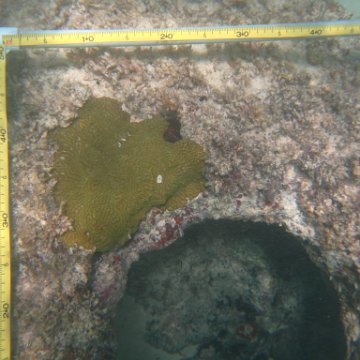 IMG_2502 IMG_2502