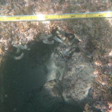 IMG_2503 IMG_2503