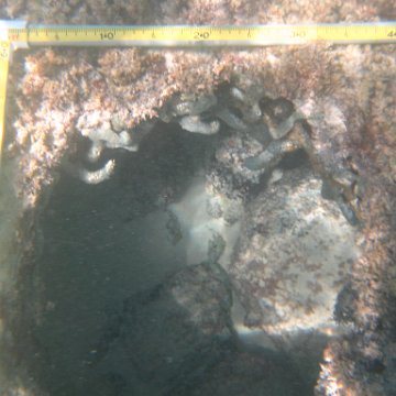 IMG_2504 IMG_2504