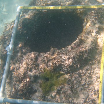 IMG_2505 IMG_2505