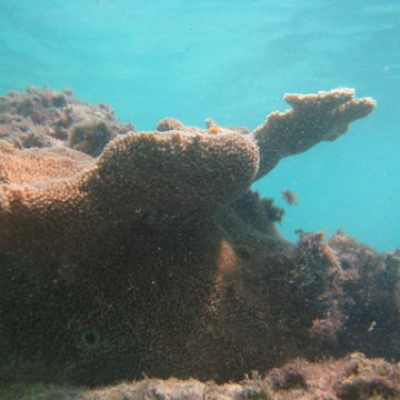 IMG_2508 IMG_2508