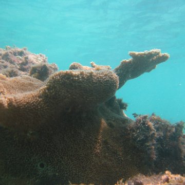 IMG_2509 IMG_2509