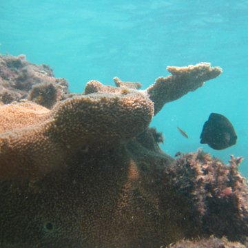 IMG_2510 IMG_2510