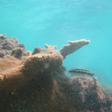 IMG_2511 IMG_2511