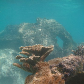 IMG_2513 IMG_2513