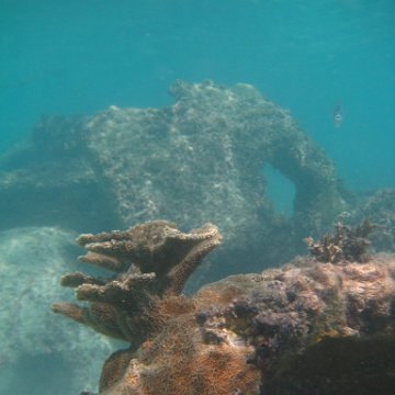 IMG_2514 IMG_2514