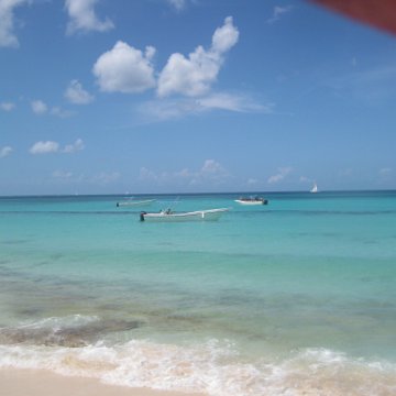 IMG_2516 IMG_2516
