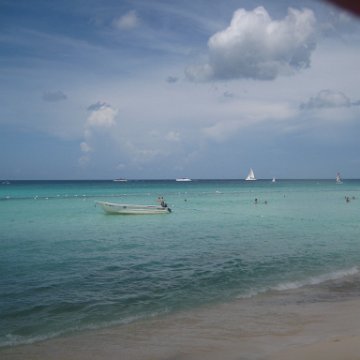 IMG_2517 IMG_2517