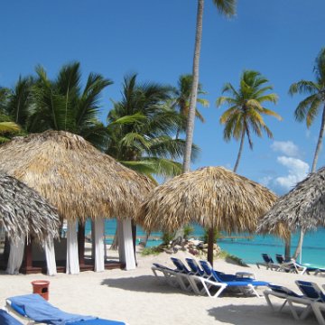 IMG_2520 IMG_2520