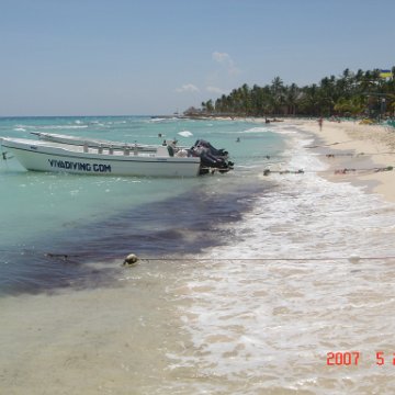 DR 2007May 066