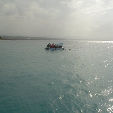 DSC00098 DSC00098