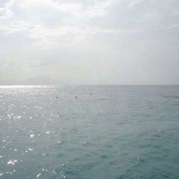 DSC00099 DSC00099