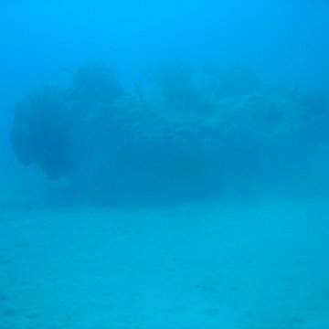 IMG_0772 IMG_0772