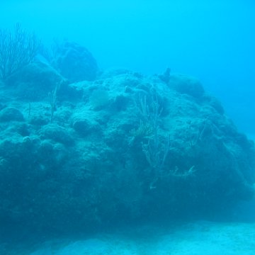 IMG_0773 IMG_0773