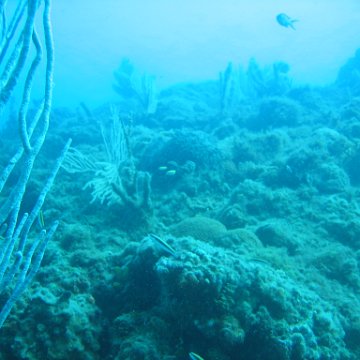 IMG_0782 IMG_0782