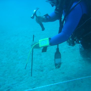 IMG_0783 IMG_0783