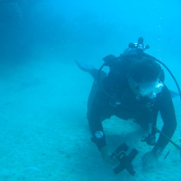 IMG_0784 IMG_0784