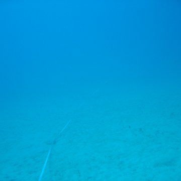 IMG_0785 IMG_0785