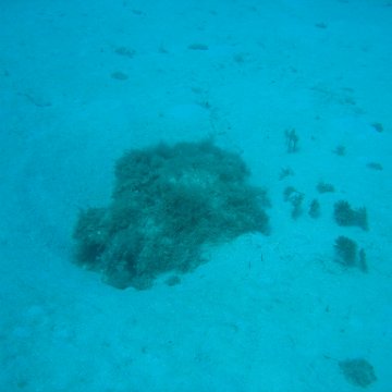 IMG_0786 IMG_0786