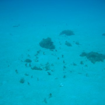 IMG_0788 IMG_0788