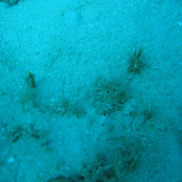IMG_0789 IMG_0789