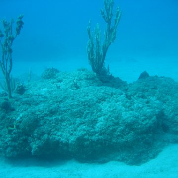 IMG_0794 IMG_0794