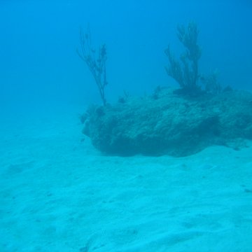 IMG_0795 IMG_0795
