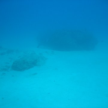 IMG_0799 IMG_0799