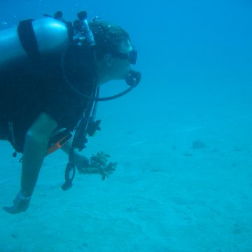 IMG_0805 IMG_0805
