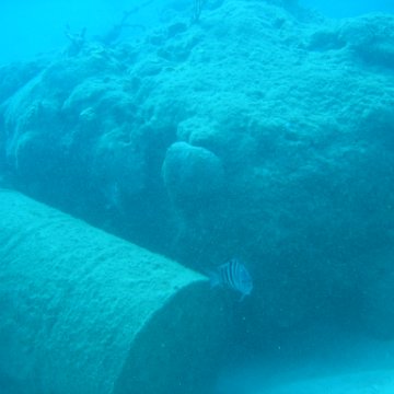 IMG_0806 IMG_0806